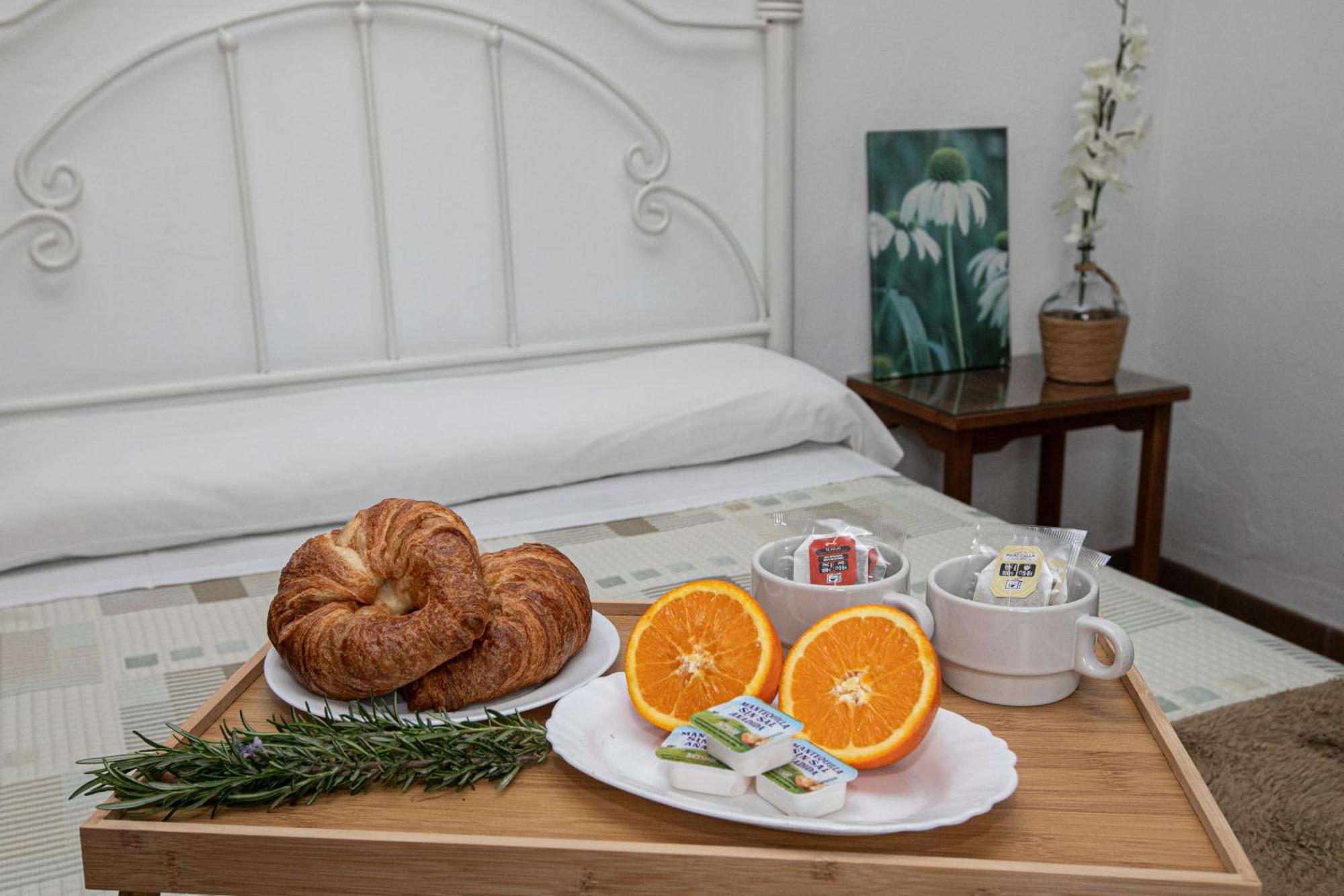 El Olmo Guest House Posadas Ngoại thất bức ảnh