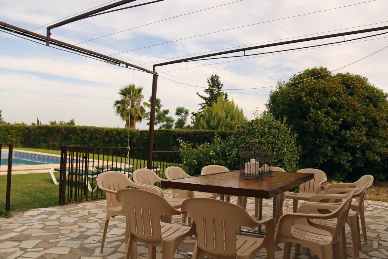 El Olmo Guest House Posadas Ngoại thất bức ảnh